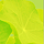 Site internet Joomla